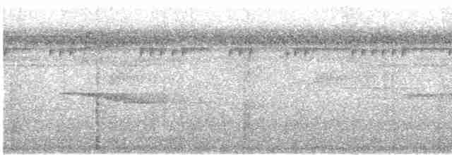 Tinamou de Berlepsch - ML476749041