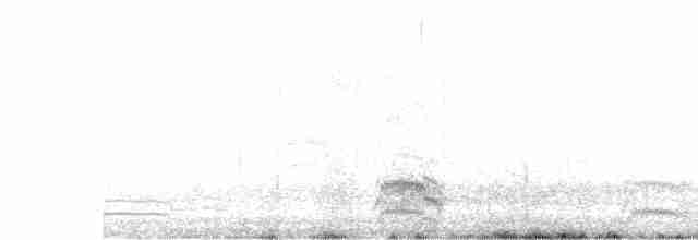 Патагонская чайка - ML476942021
