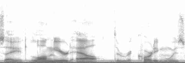 Kulaklı Orman Baykuşu (wilsonianus/tuftsi) - ML47696