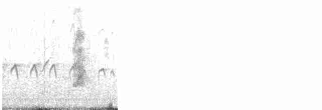 חרטומית סיבירית - ML476960621