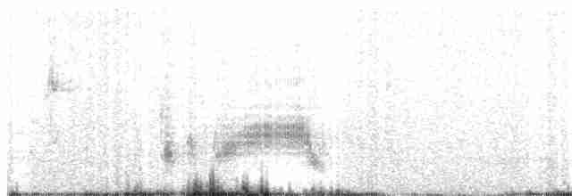 Міагра білогорла - ML476965591