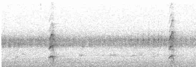Spotless Crake - ML477022591