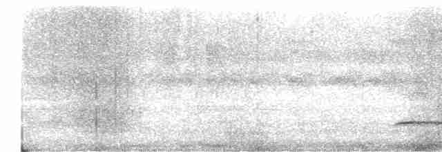 Aigle huppé (cirrhatus/ceylanensis) - ML477063231
