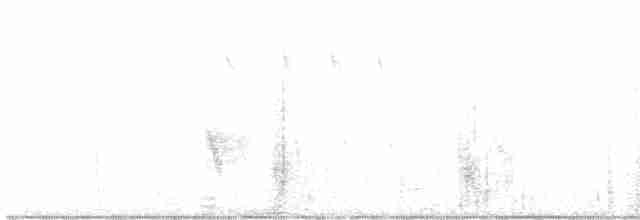 Hirondelle noire (hesperia) - ML477111201