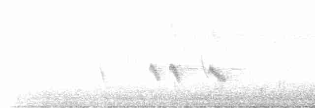 ムラサキツバメ（hesperia） - ML477111551