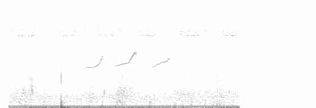 Spotted Sandpiper - ML477112281