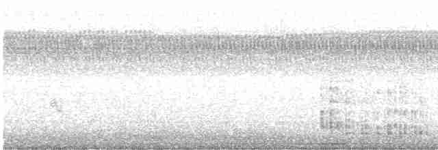 Great Egret - ML477114671