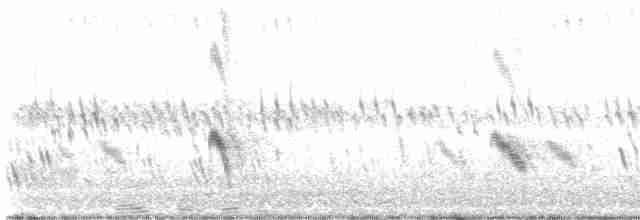 Büyük Mor Kırlangıç - ML477128061