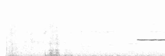 Полосатокрылый крапивник - ML477198301