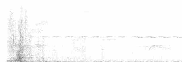 Smaragdan oreillard - ML477198451