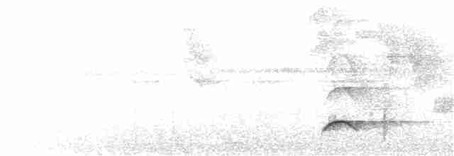 Aigle orné - ML47720061