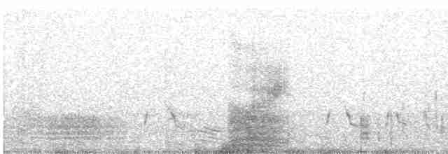 Белоухая поганка - ML477283851