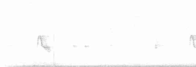 Acadian Flycatcher - ML477286021