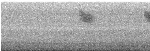 Spotted Flycatcher (Mediterranean) - ML477359691