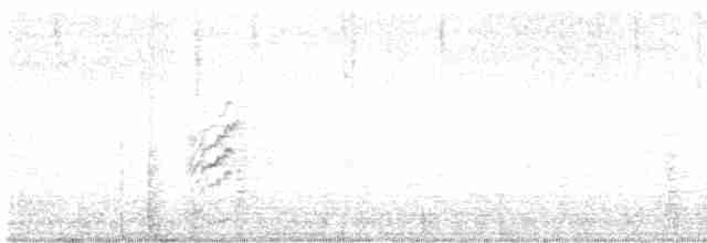 Пірникоза домініканська - ML477362391