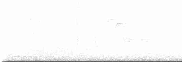 Paruline noir et blanc - ML477382011