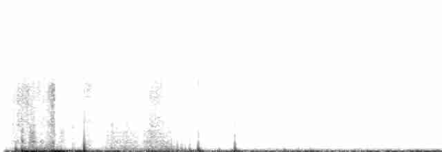 Lesser Goldfinch - ML477437541