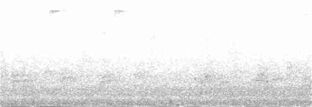 Mangrove Whistler - ML47757871
