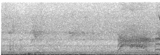 Австралийский совиный козодой - ML477585111