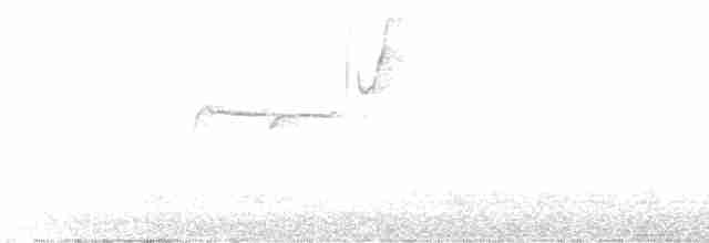 Brown-headed Cowbird - ML477595471
