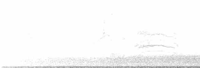 Gray Catbird - ML477597881