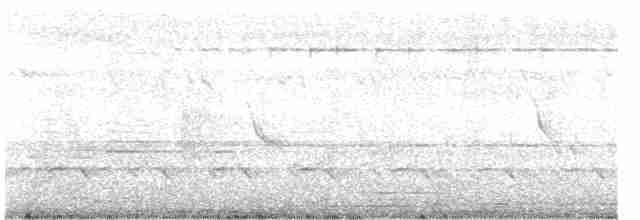 Accipiter sp. - ML477615281