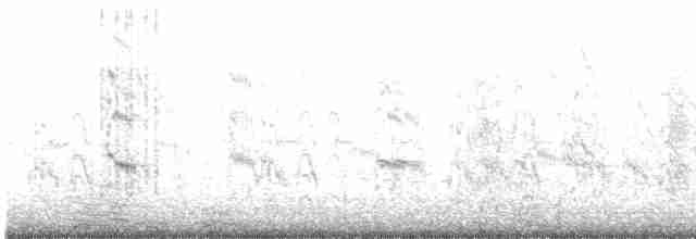 Black-naped Tern - ML477626761
