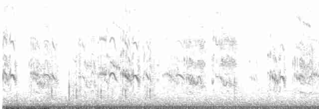 Black-naped Tern - ML477630541