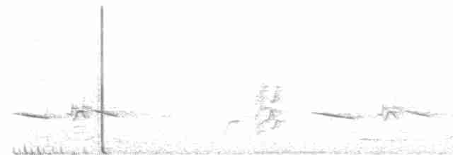 Gray-headed Bullfinch - ML477641271
