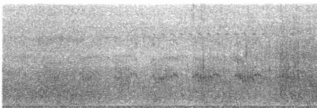 Common Tern - ML477656741