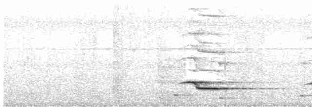 svartskrike (aterrimus) - ML477663981
