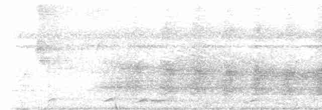 svartskrike (aterrimus) - ML477664081