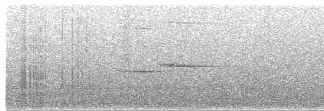 Дрізд-короткодзьоб сірий [група fuscater] - ML477688081