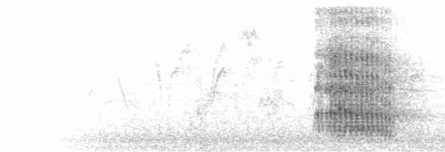 Kara Yanaklı Saksağan Kargası - ML477802471