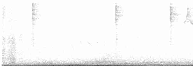 lesňáček černobílý - ML477835411