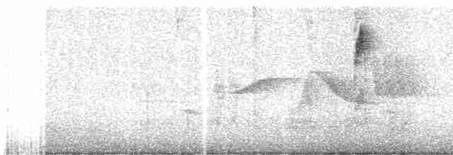 Golden-crowned Warbler - ML477855301