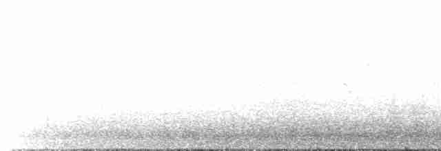 racek stříbřitý (ssp. argentatus/argenteus) - ML477888111