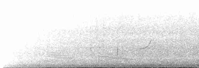 střízlík obecný (ssp. indigenus) - ML477888901