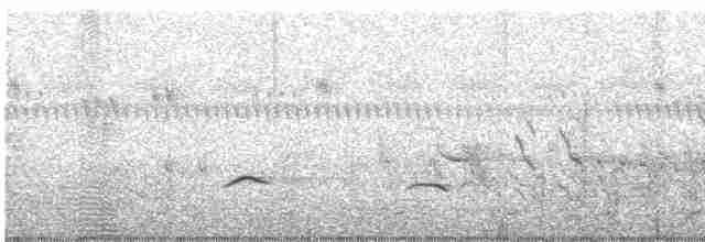 svartvingeglente (caeruleus) - ML477889651