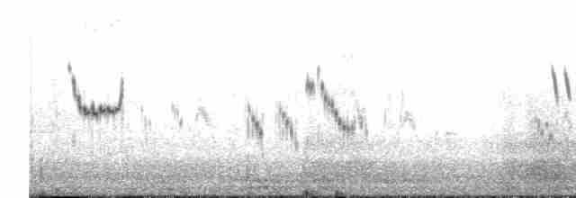 Полевой жаворонок [группа arvensis] - ML477896501