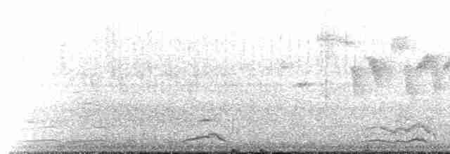 kirkeugle (noctua gr.) - ML477899531