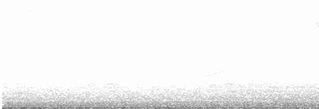 lesňáček černobílý - ML477922801