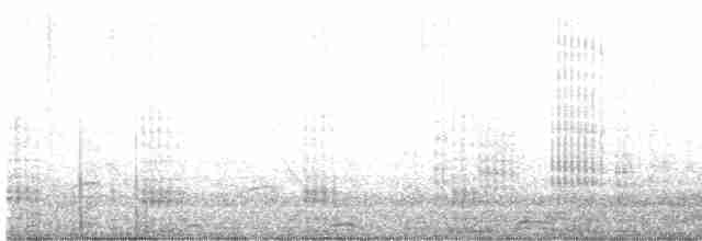 Neotropic Cormorant - ML477939841