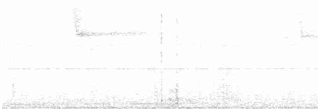Grallaire écaillée - ML477961361