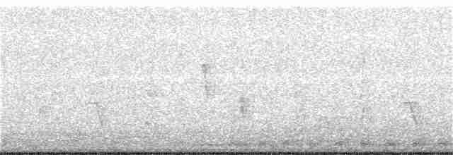 Brownish-flanked Bush Warbler - ML47802971