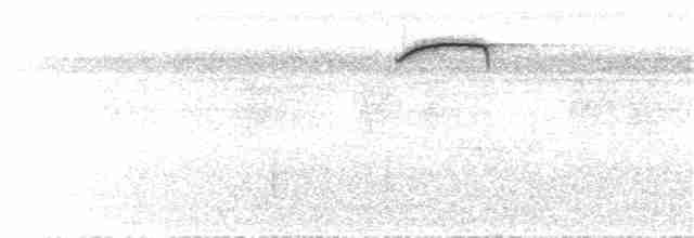 Соловьиный крапивник (taeniatus/occidentalis) - ML47805461