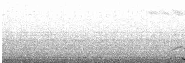 Tétras fuligineux - ML478085571