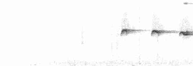 Esmeraldas Karıncakuşu - ML47813801