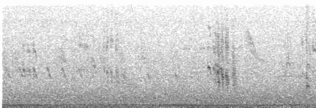 黑腹燕鷗 - ML478140651