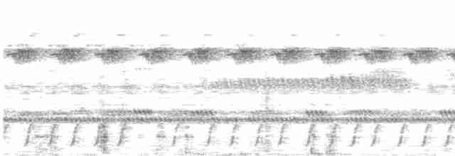 Slender-tailed Nightjar - ML478245901